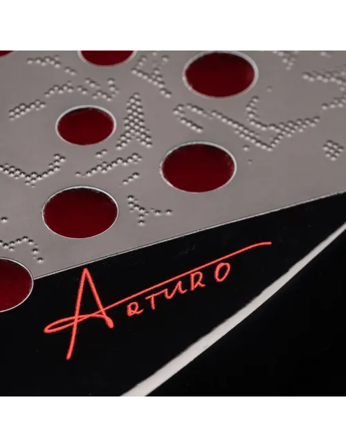 Head Coello Motion 2025